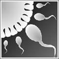 Sperm Simulator(ģΰ)1.1.13