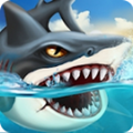 鲨鱼世界安卓版10.42
