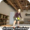 Granny Kick Neighbor(СƨģϷ)2.01