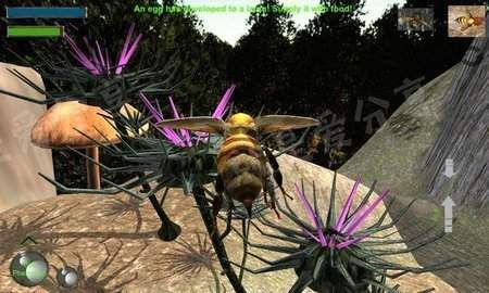 Bee Nest Simulation 3D(BeeNestSimulation3DϷֻ)ͼ0