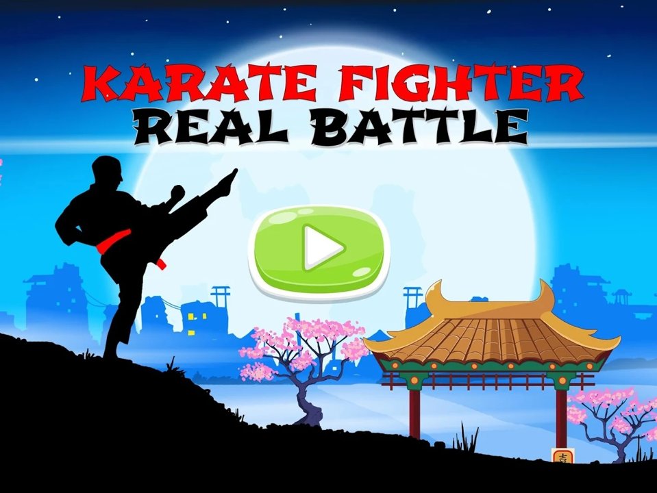 Karate Fighter : Real battles(ֵսʿ׿)12ͼ0