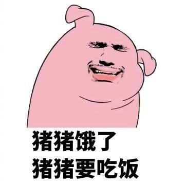 爱5猪猪公寓游戏表情包 爱5猪猪公寓游戏表情包