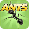 Pocket Ants(ڴģȸ)0.01ֻ