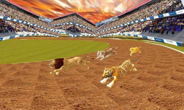 Wild Lion Dog Tiger Animal Racing Smulator 3d(ֶﾺƽ)ͼ2