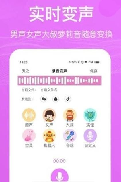 和平精英音效修改器代码