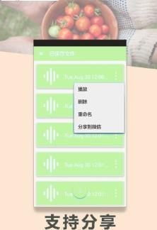和平精英日语变声器软件