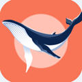 蓝鲸快讯app阅读赚钱软件v1.0.0二维码版