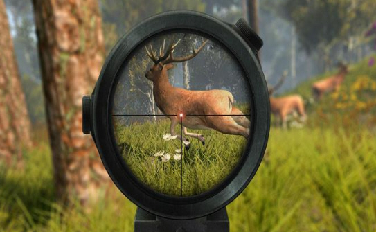 Deer Hunting(¹2020ƽ޽)v2.0.3׿ͼ1