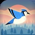 Bouncy Bird(有弹性的鸟游戏官方版)最新版1.0.0