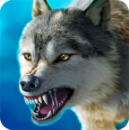 The Wolf(ư)1.11.1׿