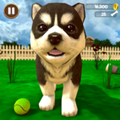 Virtual Puppy SimulatorϷv3.5İ