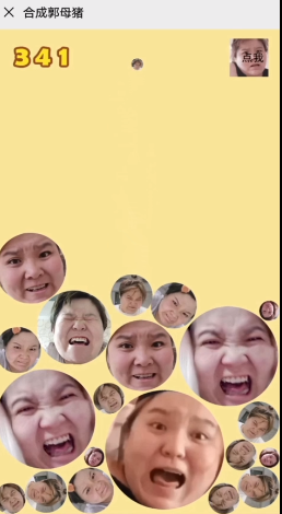 合成大西瓜郭老师版 合成大西瓜郭老师版