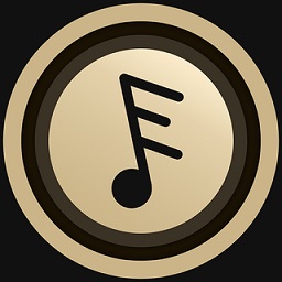 Dso Music(DSOapp)1.0.0׿