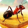 Little Ant Colony(ССȺ̵)3.1ƽ