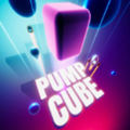 Pump Cube(ĿԾʯ)0.20İ