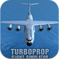 Turboprop Flight Simulator(ģ޽޸İ)°