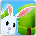 Bunny Maze 3D(3D兔子迷宫冒险安卓版)1.9.1最新版