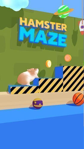 Hamster Maze(Թ˼ҹٷ)1.0.0׿°ͼ2