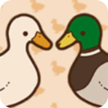 鸭子还是鸭子最新版v1.0.1官方版