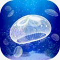 Jellyfish(养育水母的治愈游戏官方版)4.6安卓版