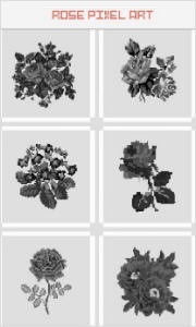 Rose Flower Pixel Art(õ廨׿)1.6°ͼ2