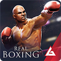 Real Boxing(ʵȭ޽)2.9.0°