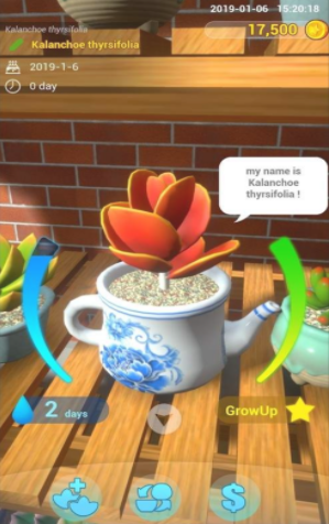BalconyGarden(̨԰)1.2ͼ2