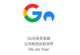 GO谷歌安装器官方版_GO谷歌安装器最新版_GO谷歌安装器三件套