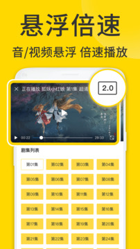 ViaXװ°v1.6.9ͼ3