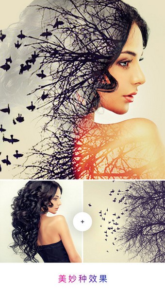 photo labٷ°v3.13.75ͼ1