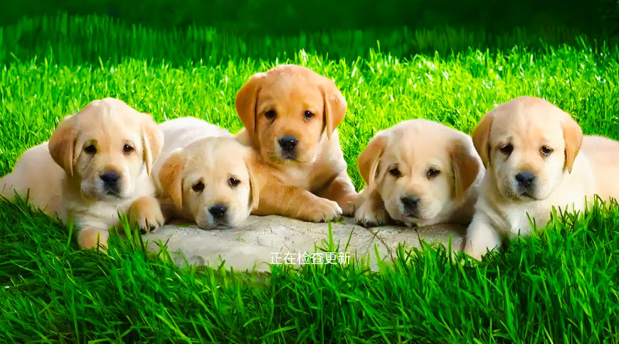 移视通APP官方正版 移视通APP官方正版