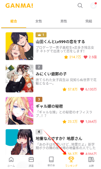 GANMA2025°v8.3.1ٷͼ4