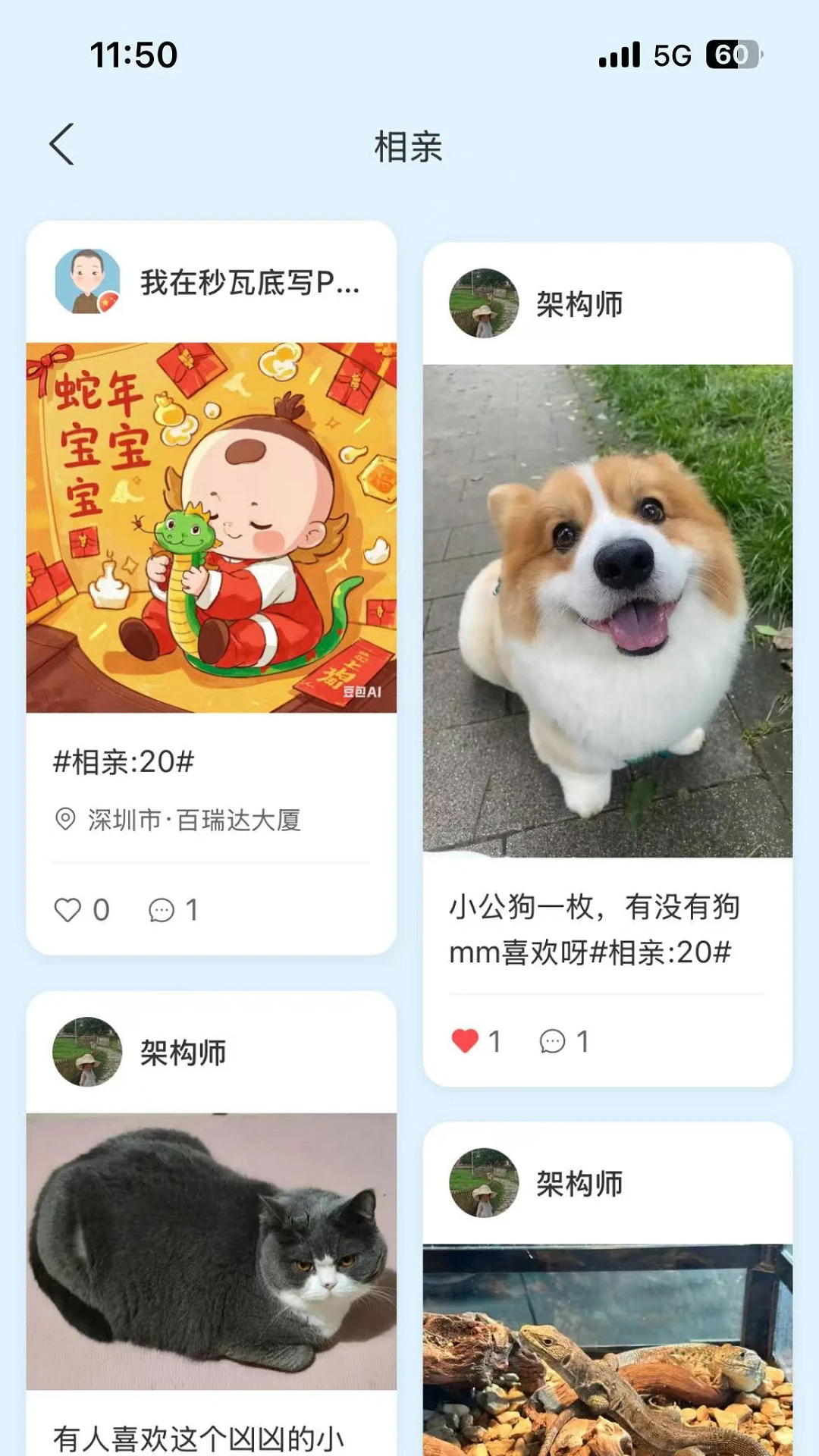 PetMeet罻ٷv2.1׿ͼ2