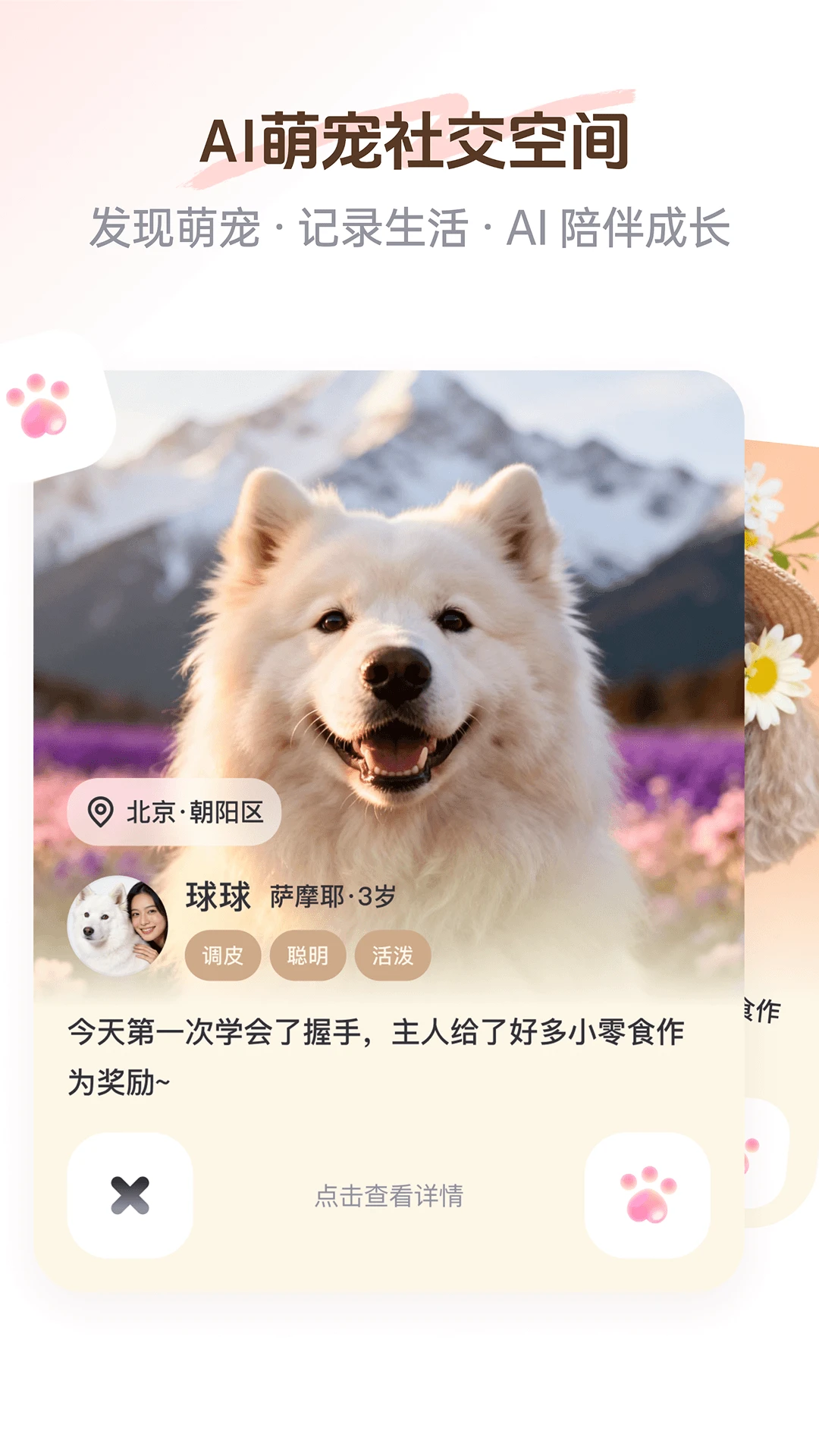 PetSpace(����ռ�)��ͼ1