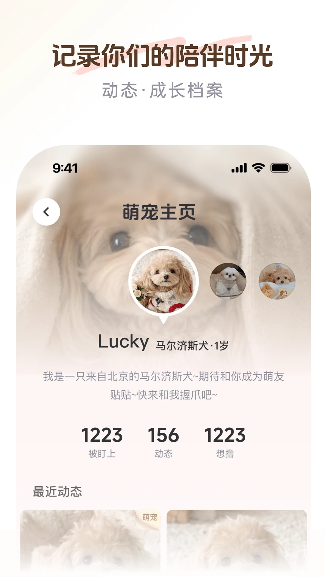 PetSpace(����ռ�)��ͼ2