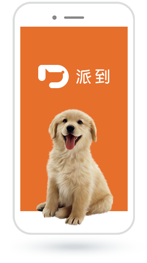 派到 安卓版 宠物专车叫车流程截图