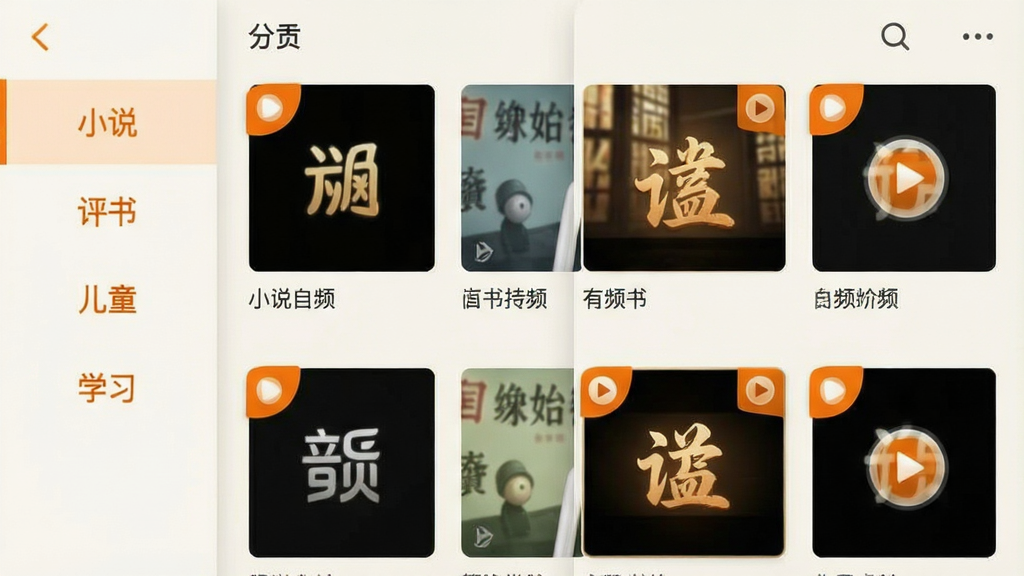 ������������������չʾ�������ҳ�棬���Ϊ���ŷ��ർ��������С˵�����顢��ͯ��ѧϰ�ȱ�ǩ���Ҳ�Ϊ��Ӧ�����µ���Ƶ�������񲼾֣�������ͳһ���в��Ű�ť�Ǳ꣬�������ǳɫ���������ɫ����ѡ��״̬�������Ű����룬�����������ɾ�������Ԫ��