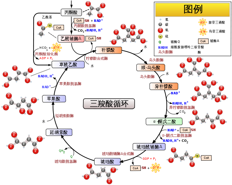 普通话跟读测试纠正九十七普通话 安卓版 跟读评分界面