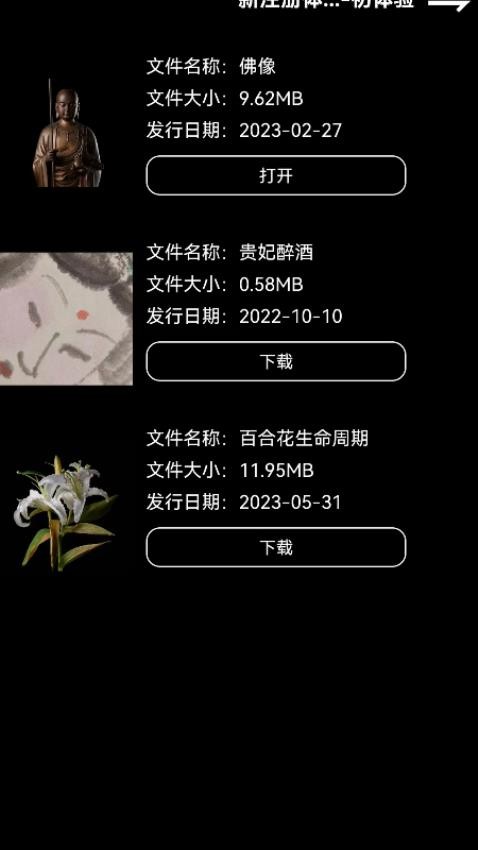ZsPlayer 安卓版 播放界面