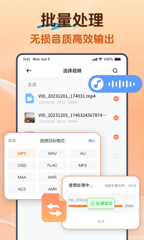 Viwoo��Ƶ��ʽת����2.2.4 ��Ƶ��ʽת����ͼ0