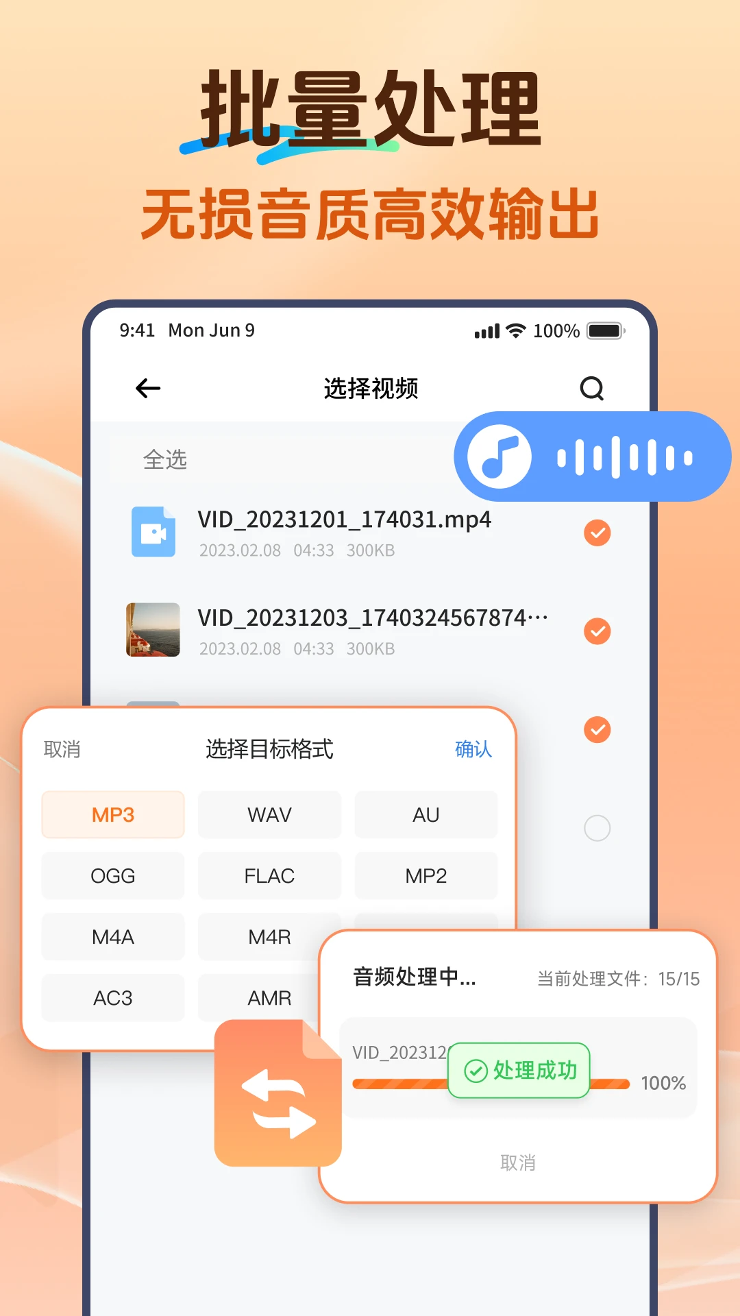 Viwoo��Ƶ��ʽת����2.2.4 ��Ƶ��ʽת����ͼ4