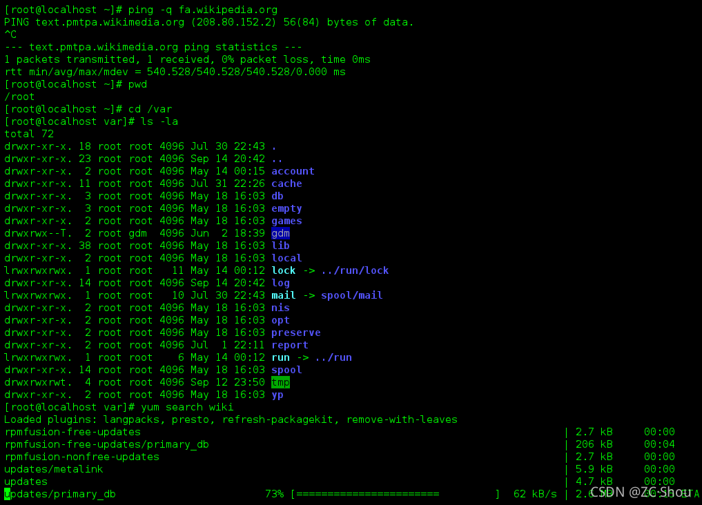 Linux终端命令行 安卓版 界面