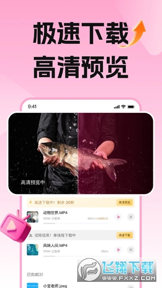 ����լרҵ�氲׿��