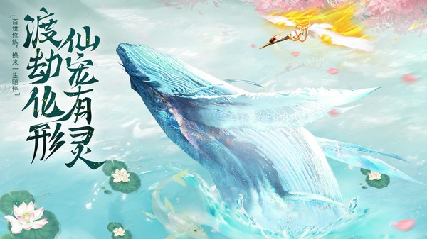 ���ĶԾ��������������簲׿���ͼ1