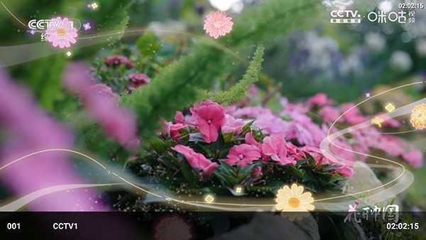 �����ӽ�TV���Ӱ�app�ٷ����°�v3.5.4��׿���ͼ2