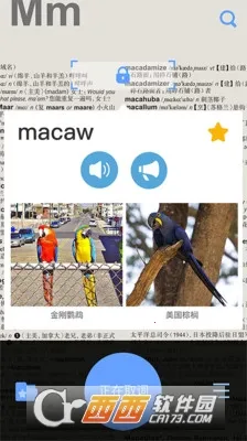 Ӣ����ʵ�2026�ٷ����°汾��ͼ1