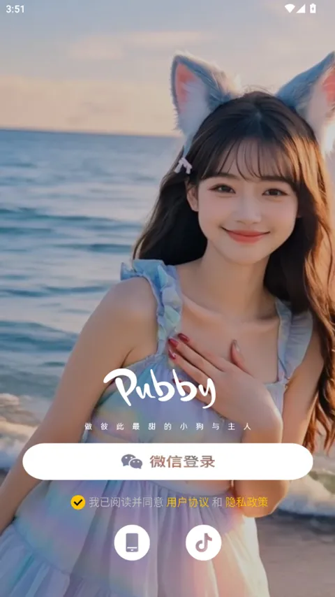 Pubby2026���°汾
