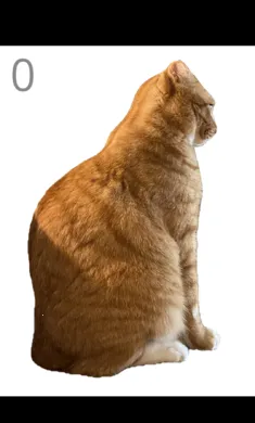 ��è��ë2026�ֻ���v1.0 �ٷ����ͼ3