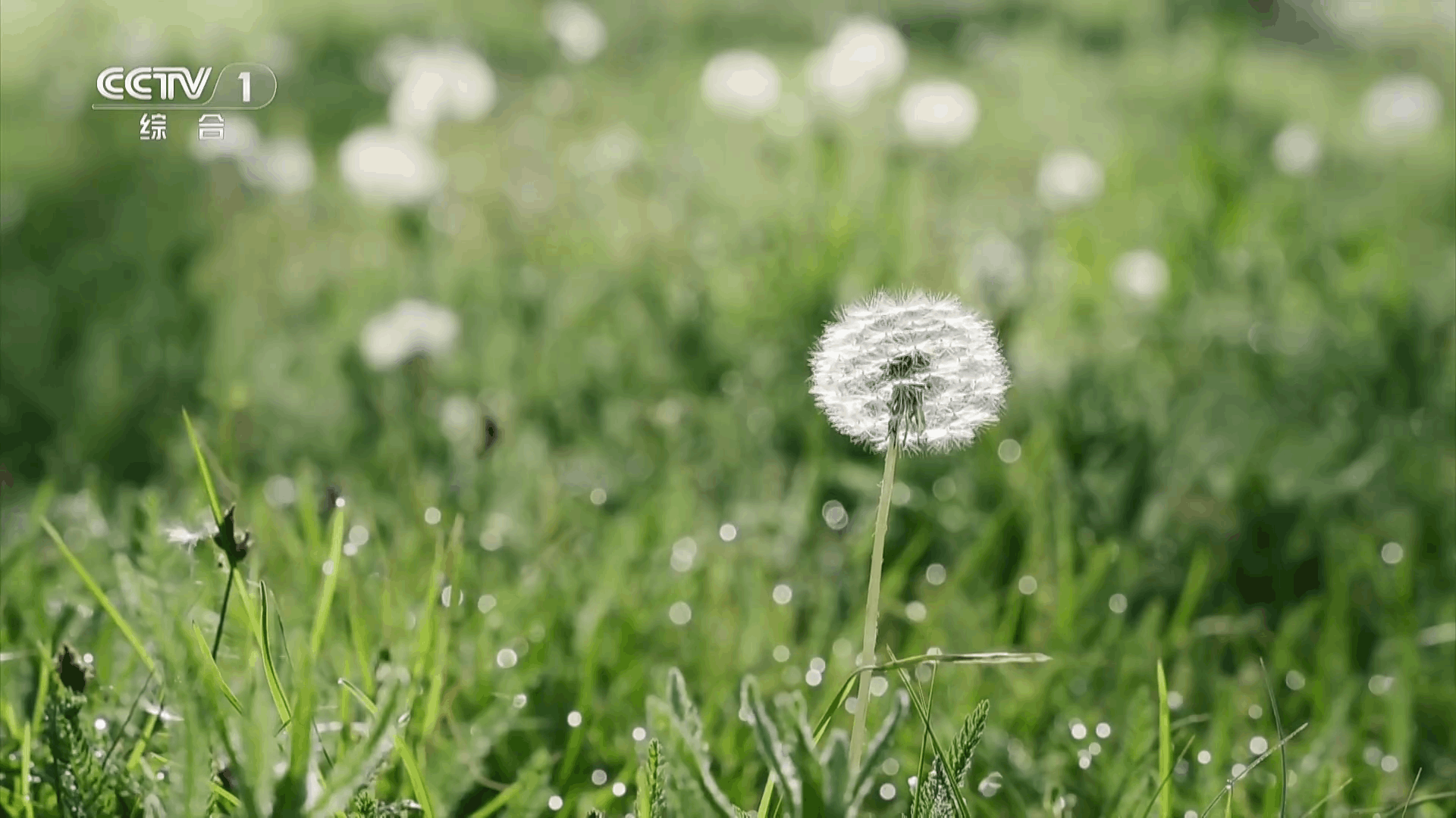 ����ͨtv���Ӻ���app1.0.0��Ѱ��ͼ2