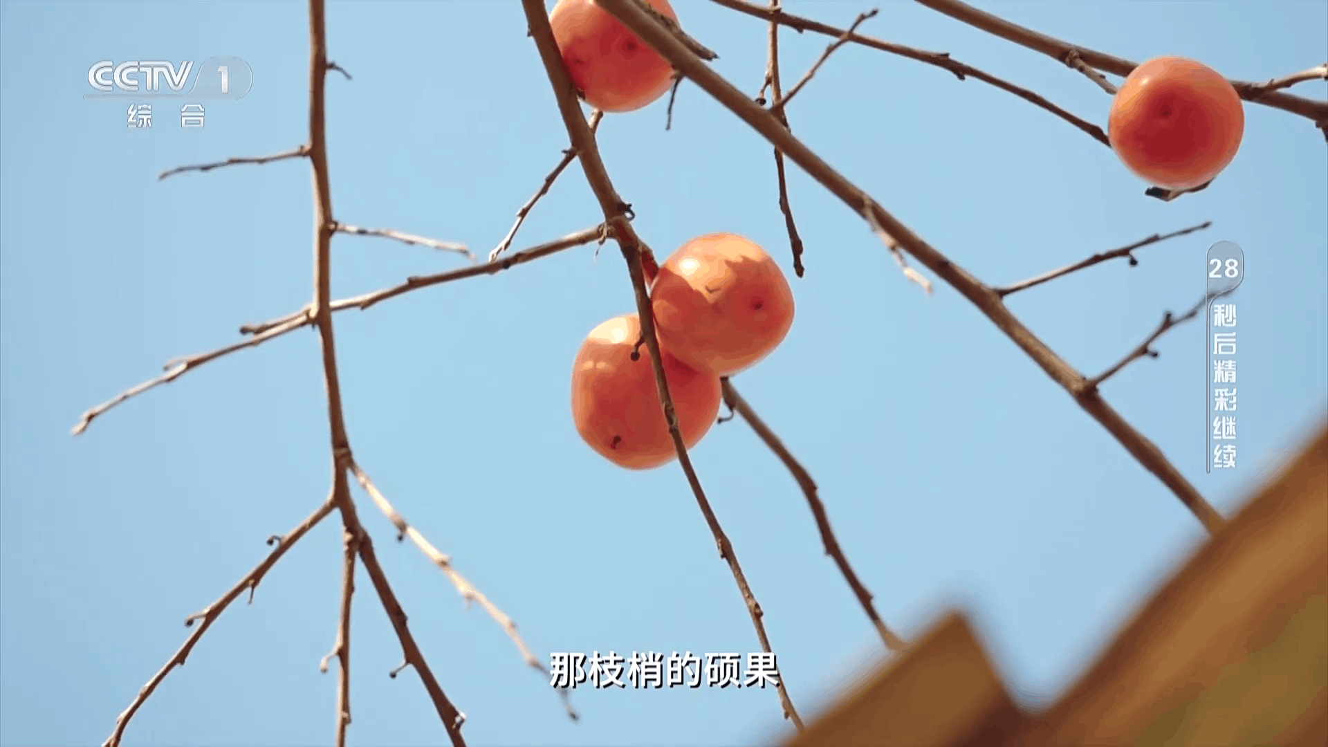 ����ͨtv���Ӻ���app1.0.0��Ѱ��ͼ1